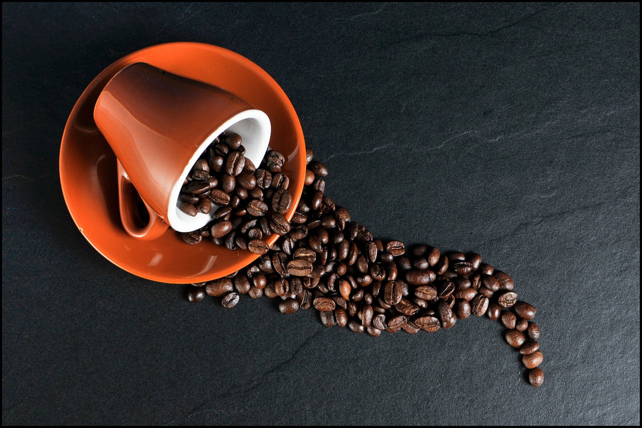 CONSUMO DE CAFÉS ESPECIAIS CRESCE E GERA DEMANDA POR MÃO DE OBRA