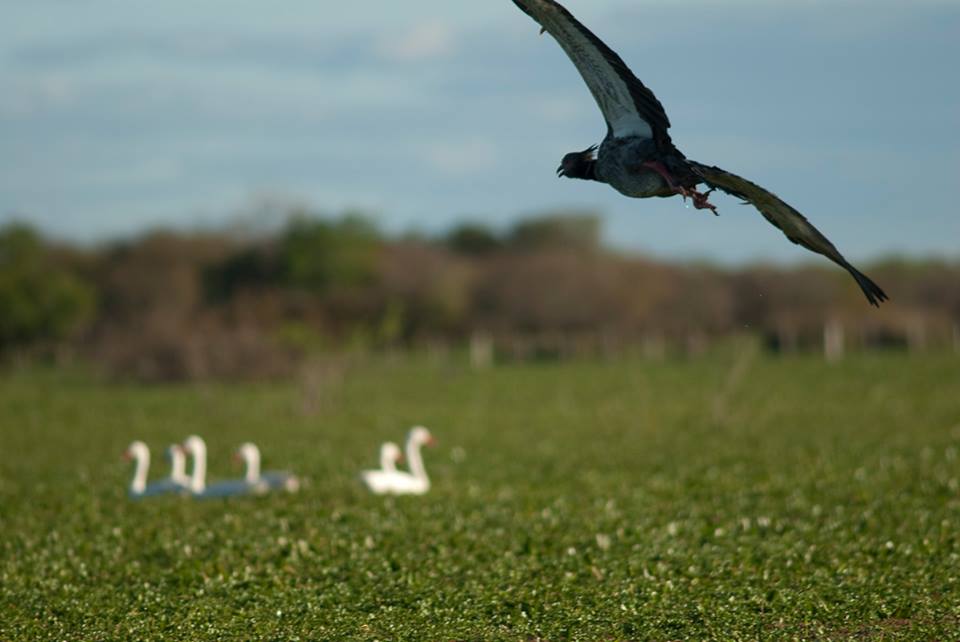 Uruguai – 3 destinos diferentes para você descobrir