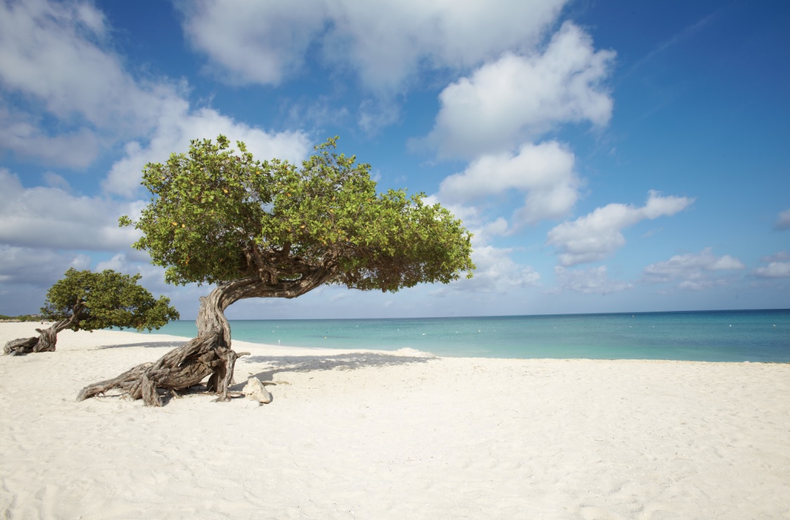 ARUBA AMPLIA ZONAS DE WI-FI LIVRE POR TODA A ILHA