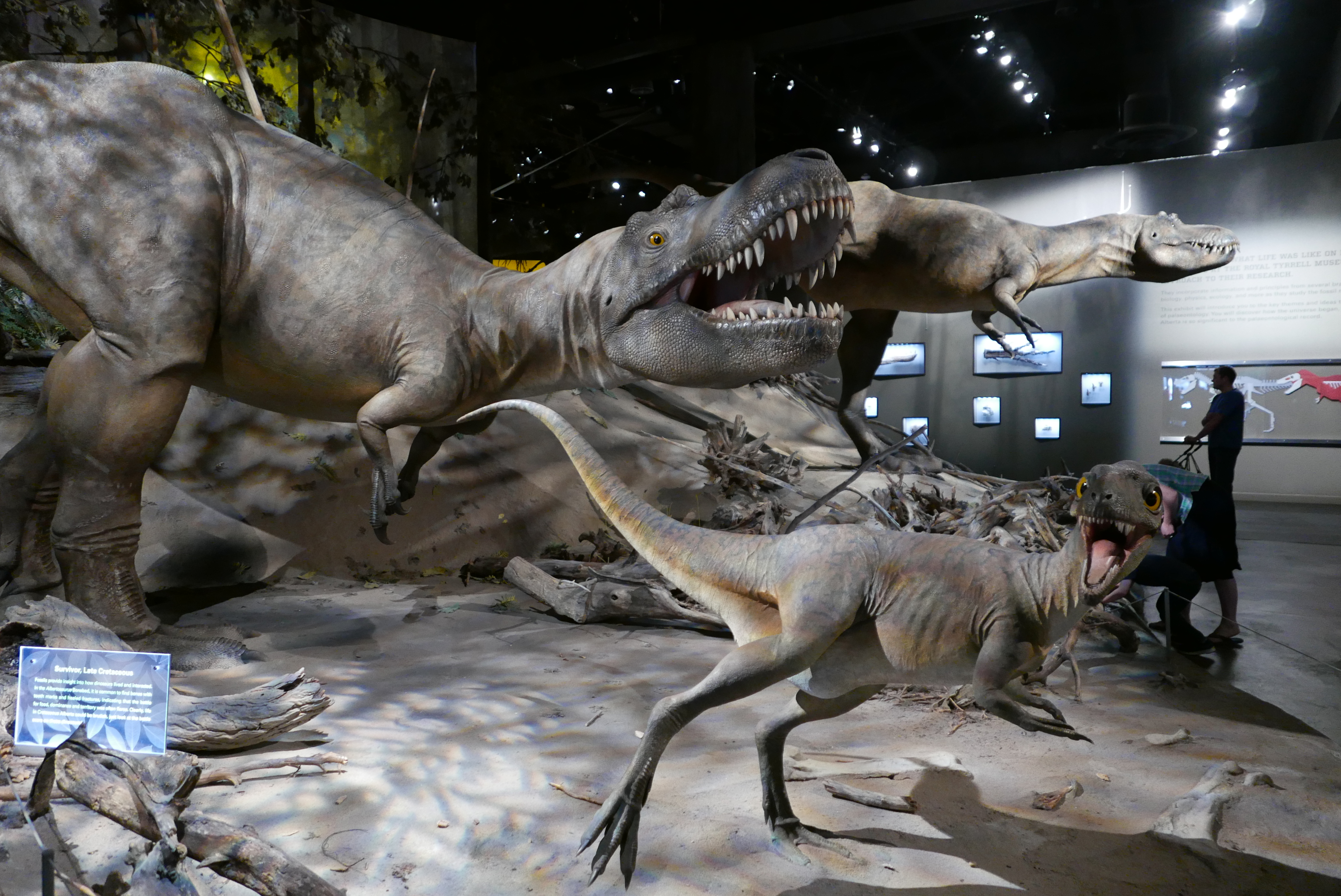 Em Calgary, a criançada vai amar ver os dinossauros no espetacular Royal Tyrrell Museum
