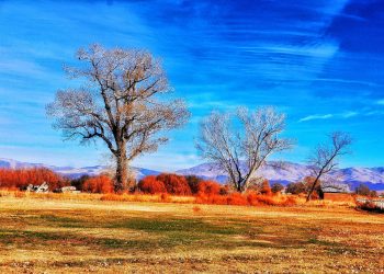 Nevada Paisagem