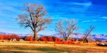 Nevada Paisagem