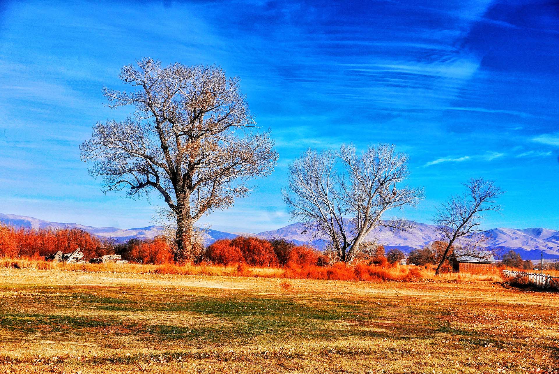 Nevada Paisagem