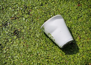 sustentabilidade