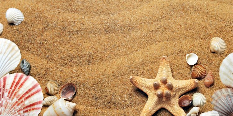Praia Conchas