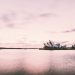 Sidney Opera House