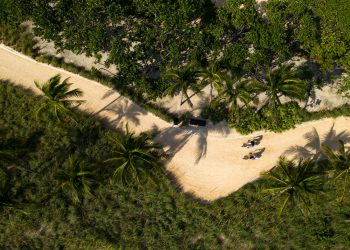 Ritz-Carlton Bal Harbour