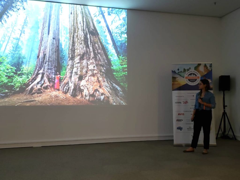 Workshop América do Norte Flytour Viagens Campinas