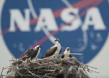 Nasa