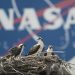 Nasa
