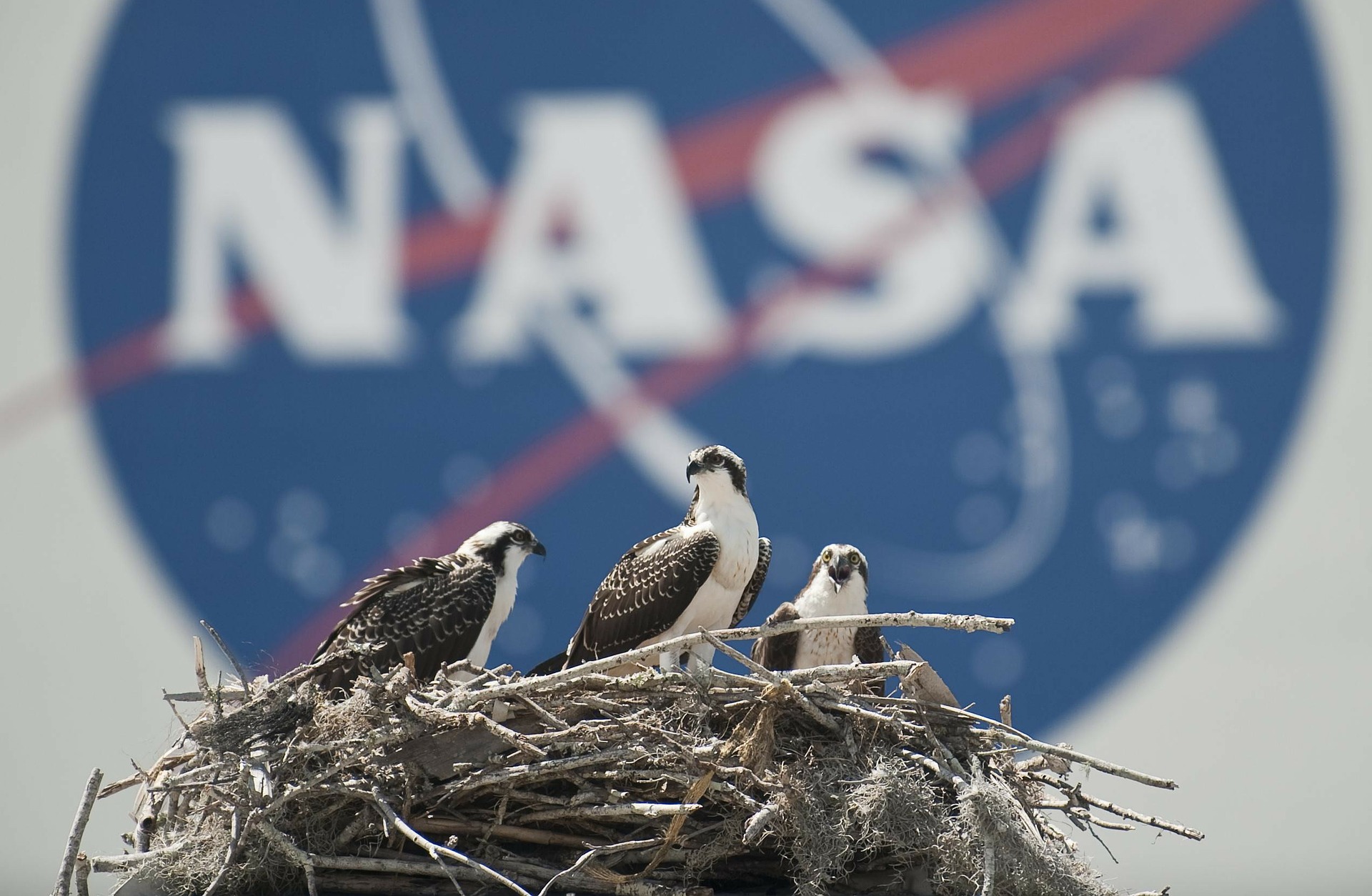 Nasa