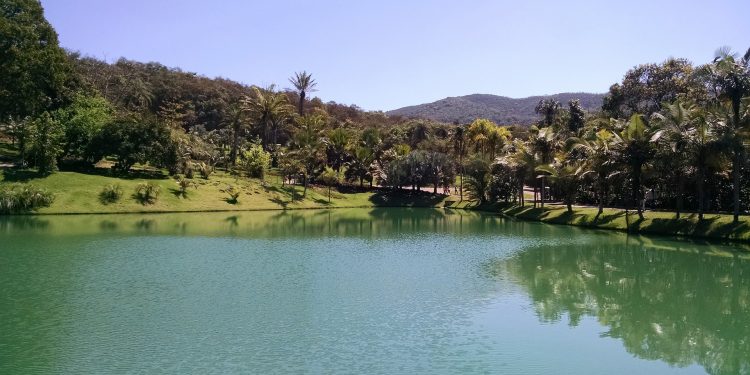 Instituto Inhotim