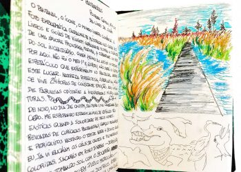 Pantanal (Desenho: Claudia Tonaco)