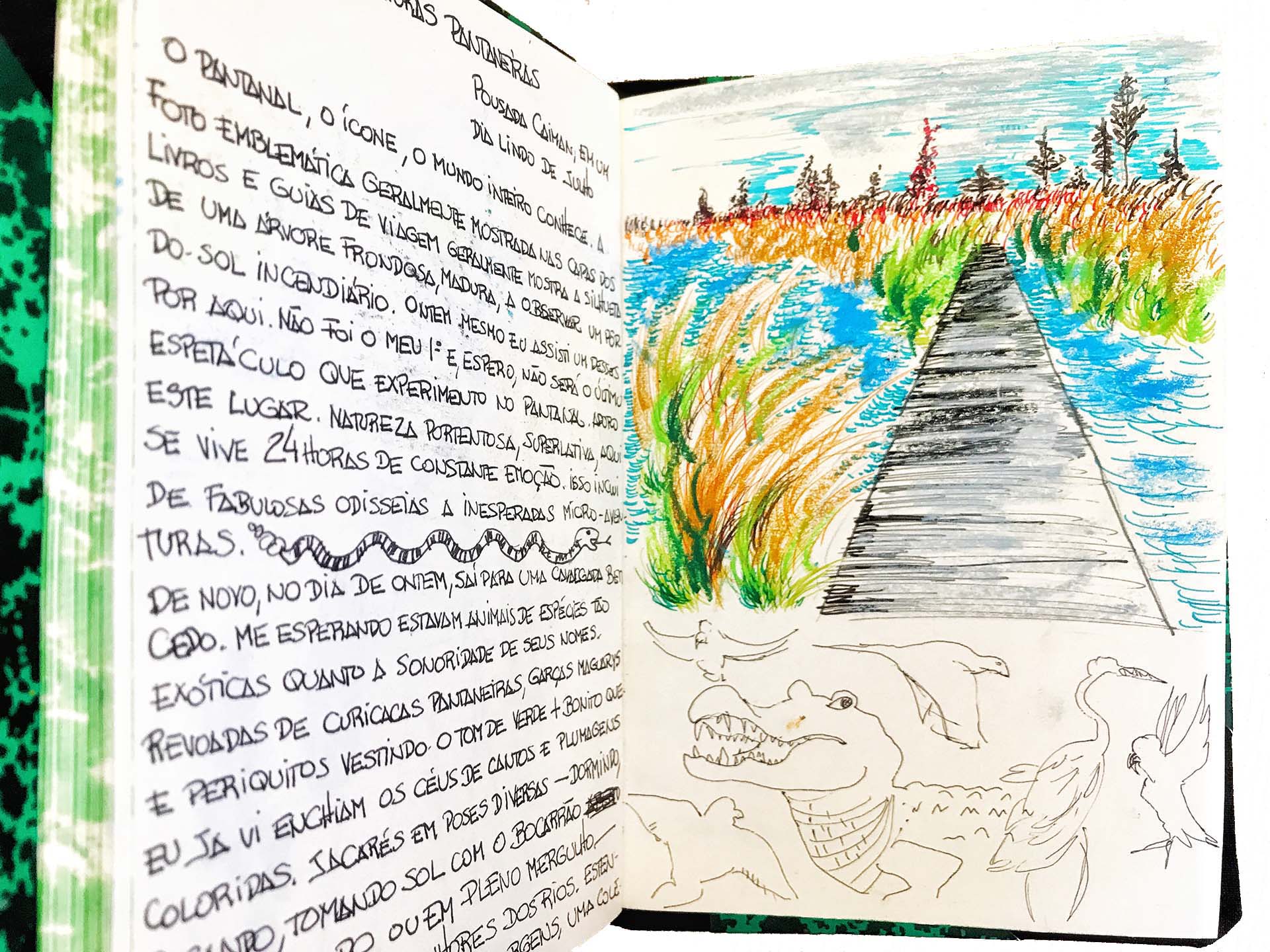 Pantanal (Desenho: Claudia Tonaco)