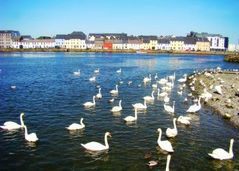 Galway