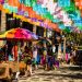 Sayulita Riviera Nayarit