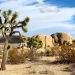 Joshua Tree National Park California