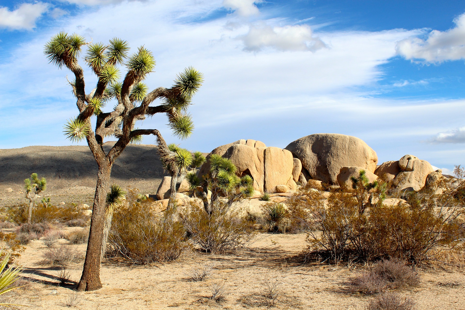 Joshua Tree National Park California