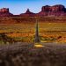 Arizona