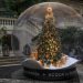 Árvores de Natal