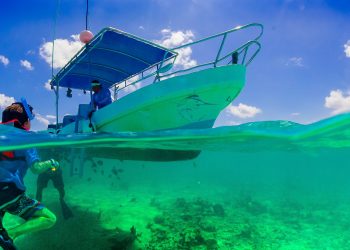 Mergulho mar Cancun México Caribe Mexicano