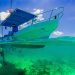 Mergulho mar Cancun México Caribe Mexicano