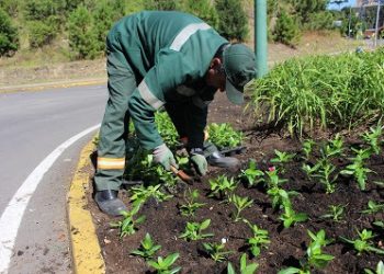 Gramado se prepara