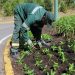 Gramado se prepara