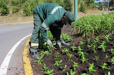 Gramado se prepara