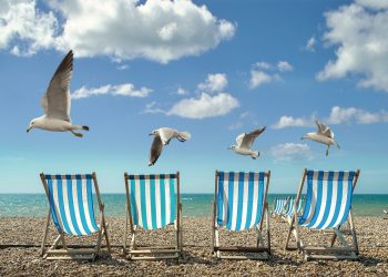 Paisagem de praia com gaivotas e vazia