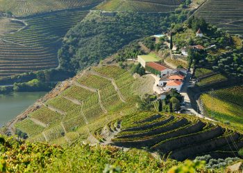 Enoturismo Quinta do Crasto