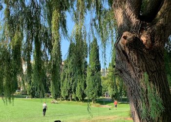 Little Norway Park Toronto Canada