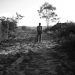 Chapada Diamantina
