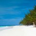 Barbados Caribe