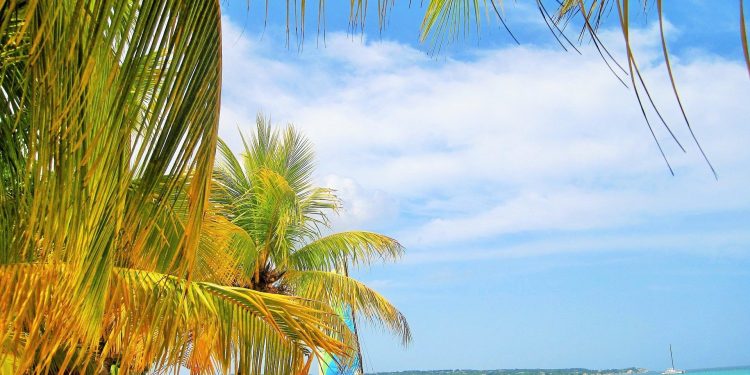 Jamaica