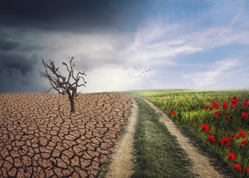 Urgência climática