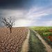 Urgência climática