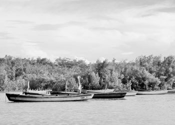 Barcos Brasil preto e branco