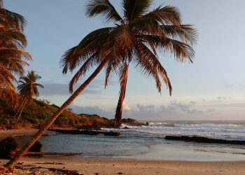 Ilhéus Bahia
