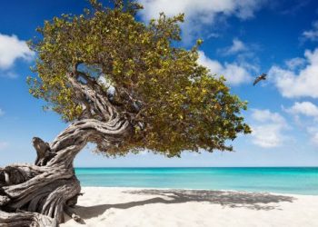 Praia de Aruba, país reabriu fronteiras