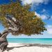 Praia de Aruba, país reabriu fronteiras