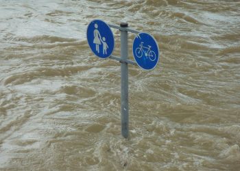 A Urgência Climática