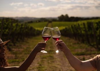 Wine Walk