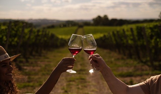 Wine Walk