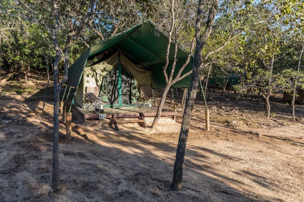 barraca verde em meio às árvores espaçadas do Cerrado