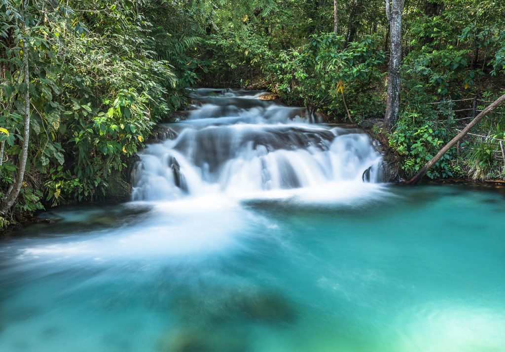 Cachoeira do Formiga, de águas esverdeadas, cercada pelo verde da floresta nativa