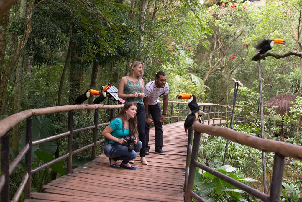 Turistas em meio aos tucanos do Parque das Aves, em Foz do Iguaçu