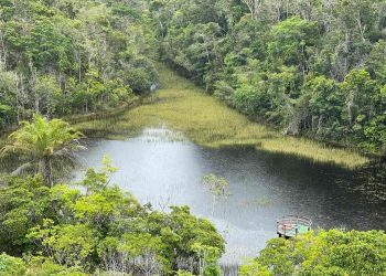 Parque Nacional do Descobrimento - Prado(BA)