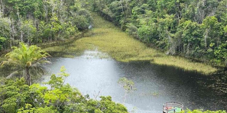 Parque Nacional do Descobrimento - Prado(BA)