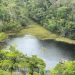 Parque Nacional do Descobrimento - Prado(BA)